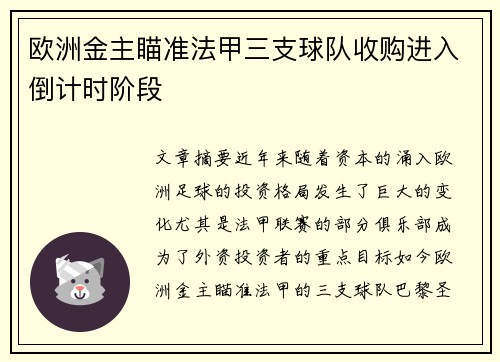 欧洲金主瞄准法甲三支球队收购进入倒计时阶段