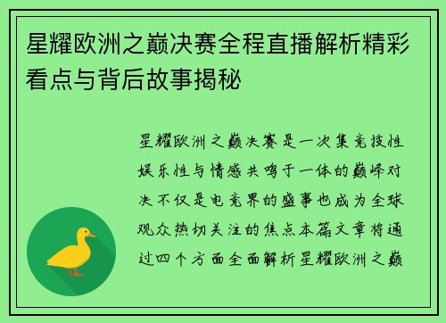星耀欧洲之巅决赛全程直播解析精彩看点与背后故事揭秘
