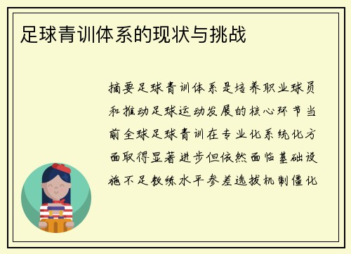 足球青训体系的现状与挑战