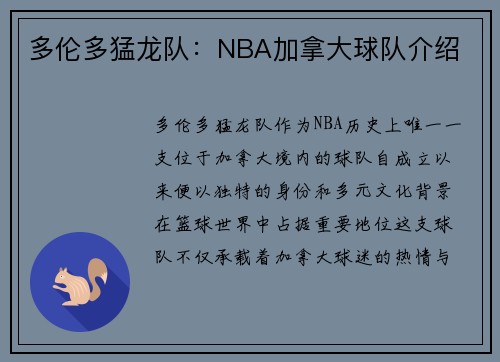 多伦多猛龙队：NBA加拿大球队介绍