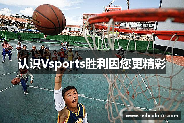 认识Vsports胜利因您更精彩